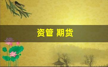 资管 期货(资管期货保证金)_https://www.xzdzcjn.com_创业板_第1张